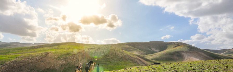 בקעת הקנאים פורחת