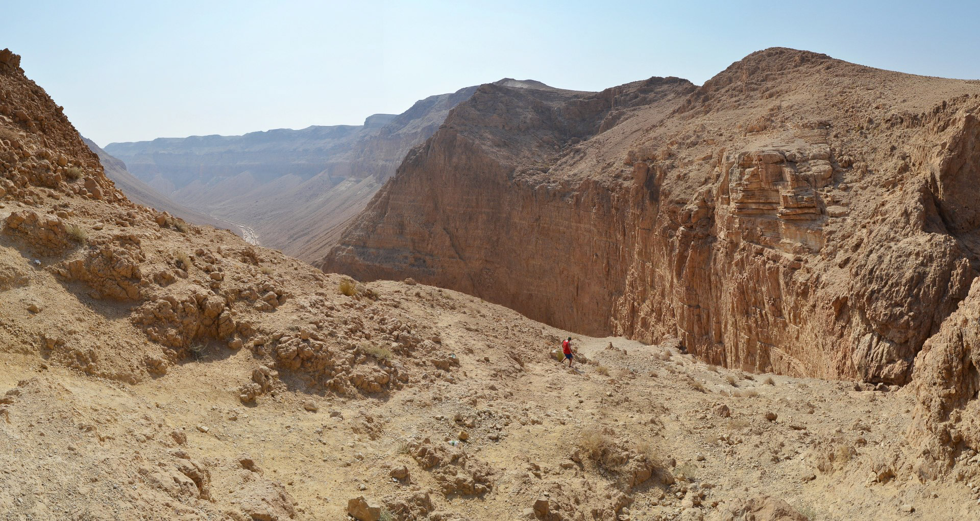 Negev Desert Israel