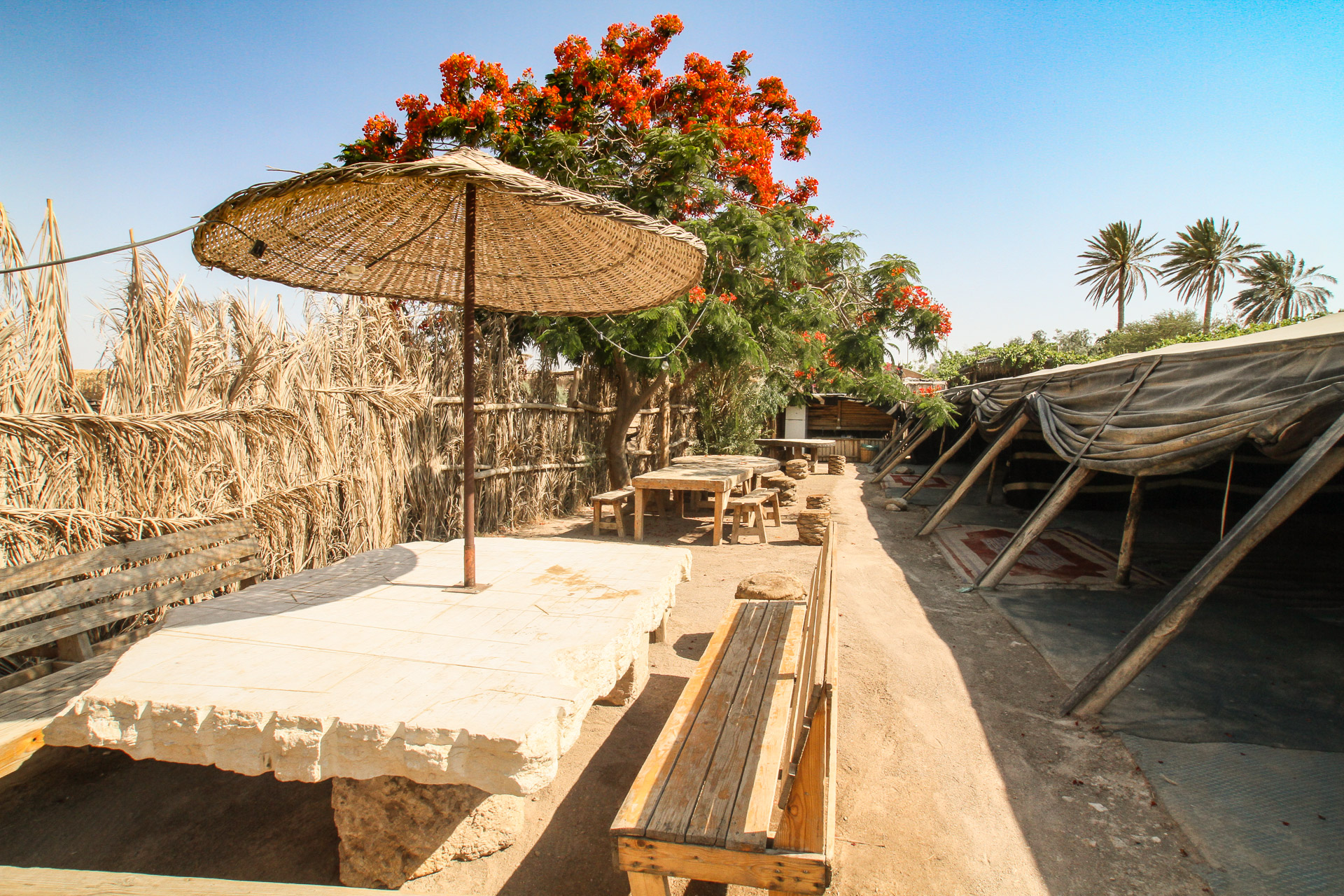 Bedouin tent area