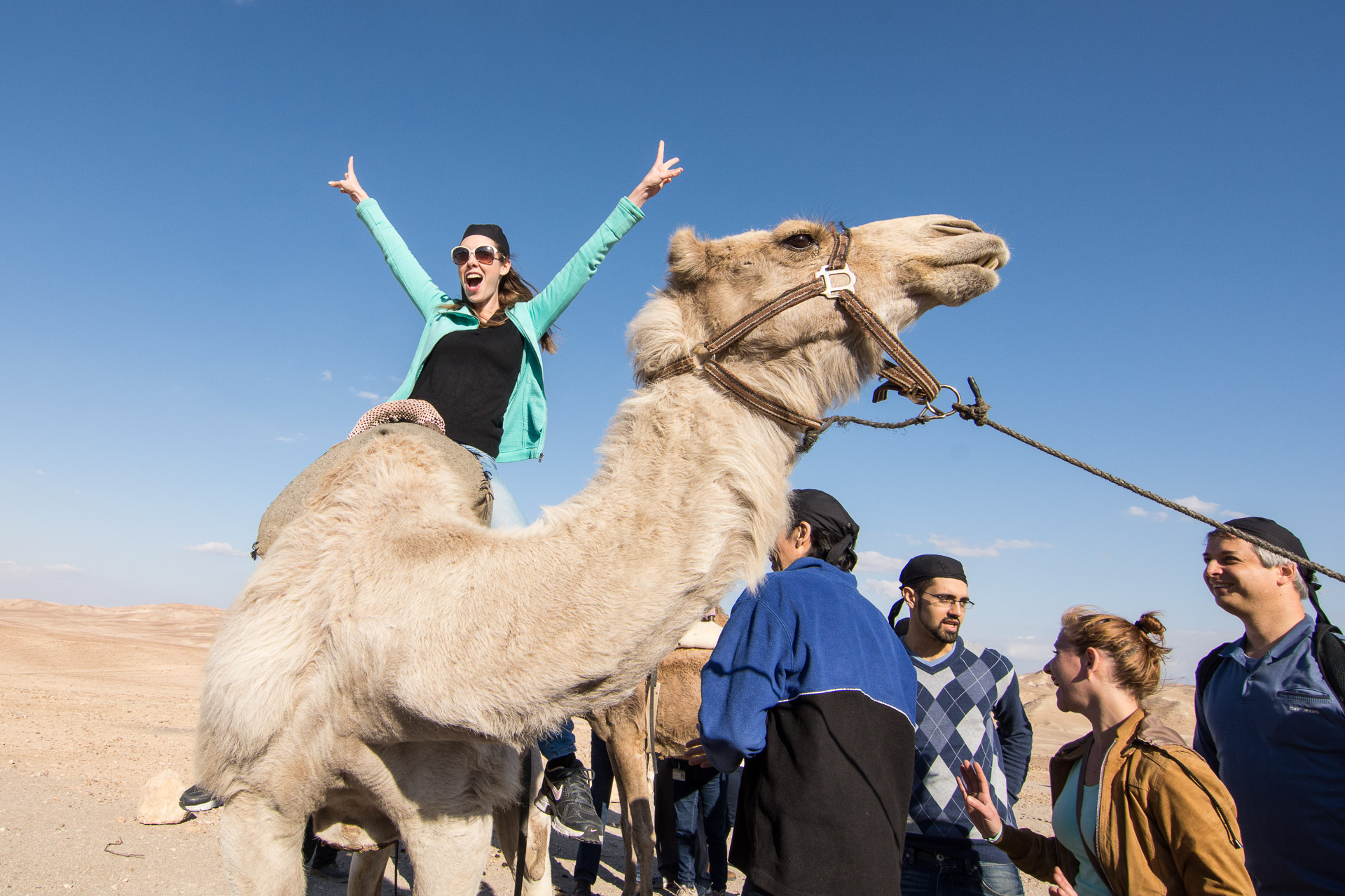 Camel rides