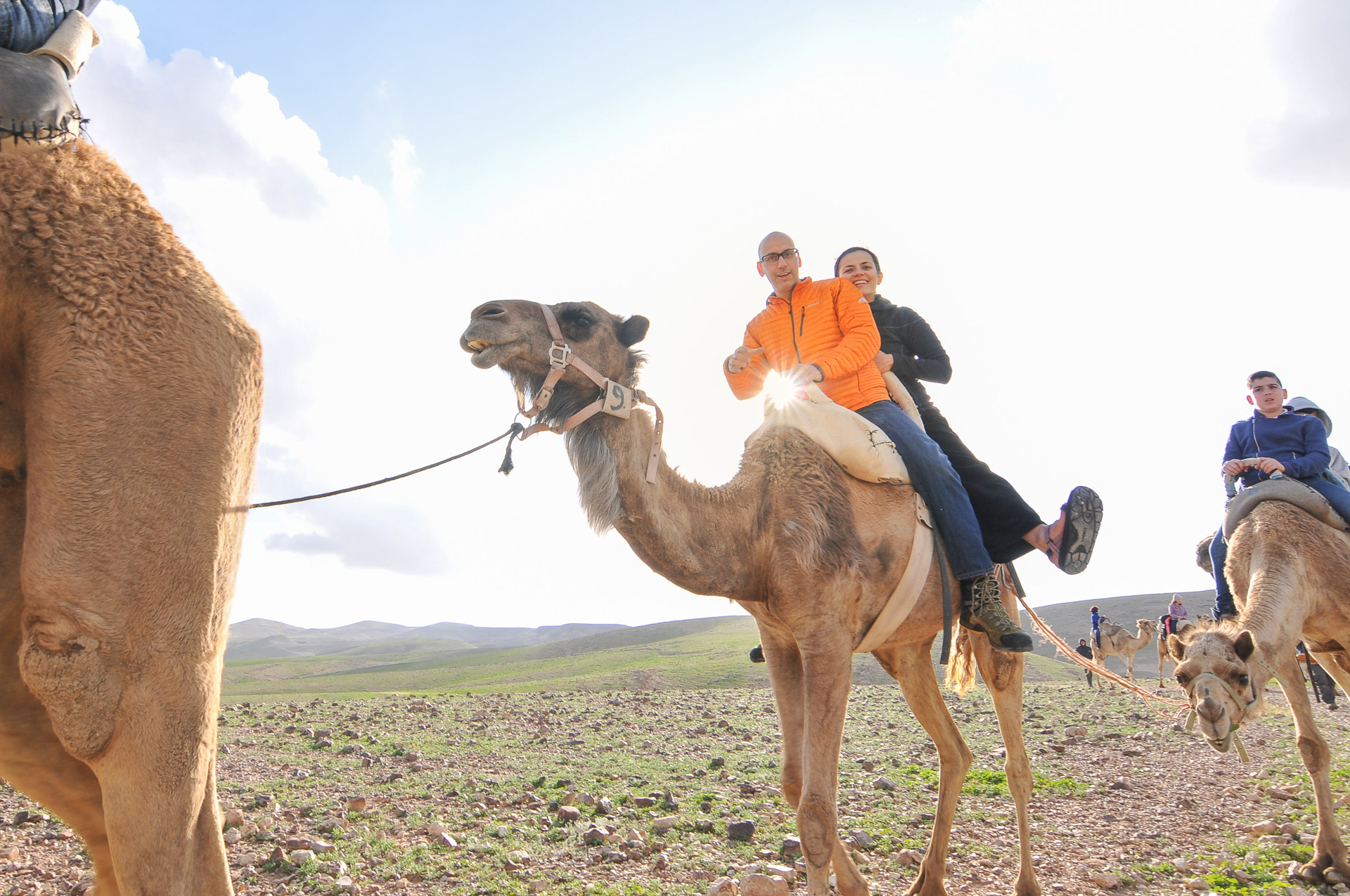 Camel rides