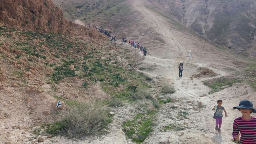 Desert Tours in Israel