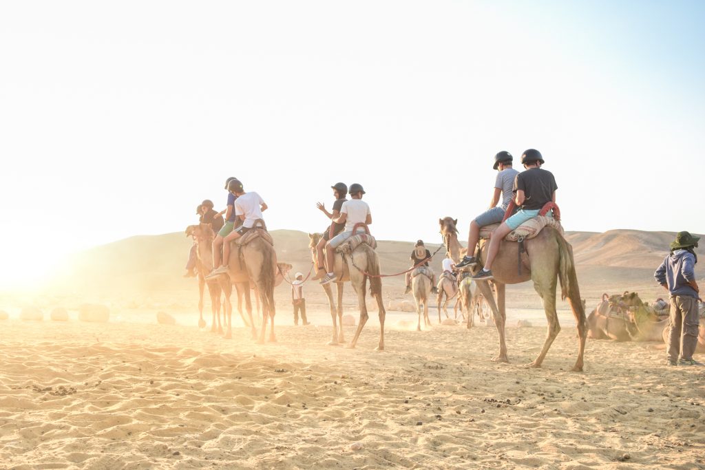 camel riding in Israel