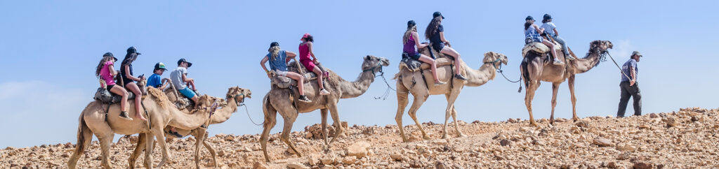Desert Tours in Israel