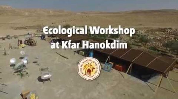 Ecological Workshop